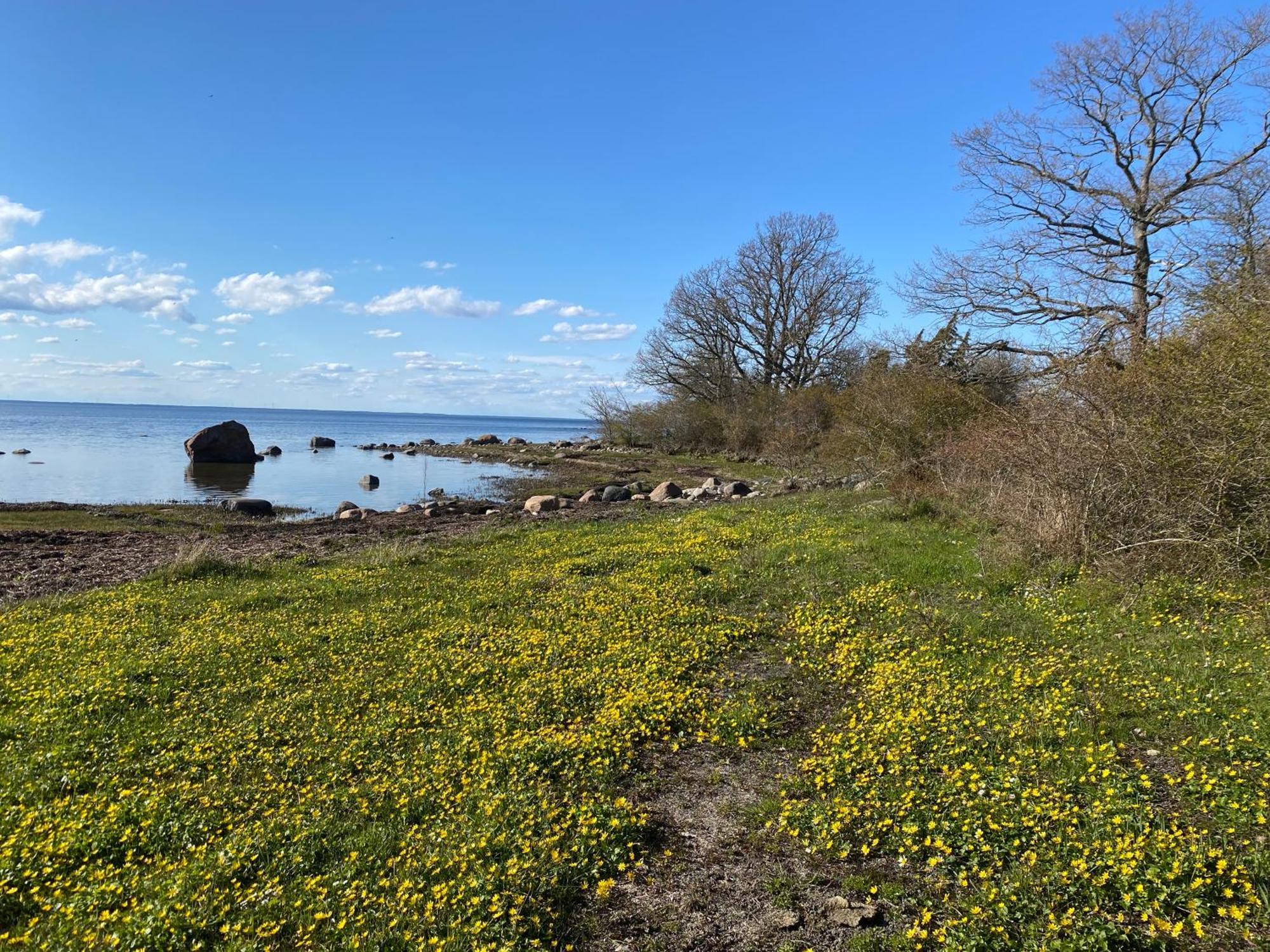 Gard Halltorps Hage Borgholm