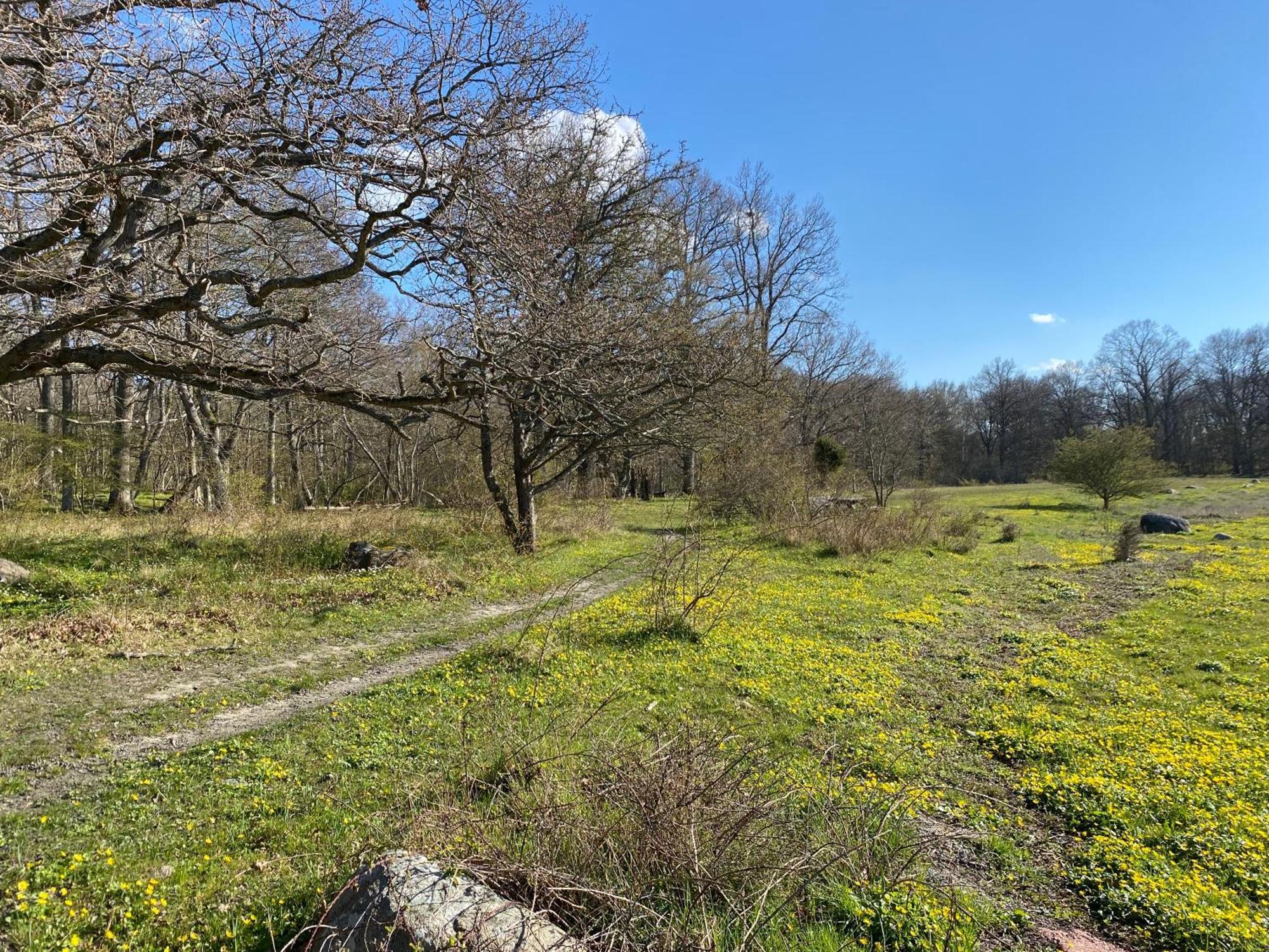 Gard Halltorps Hage Borgholm